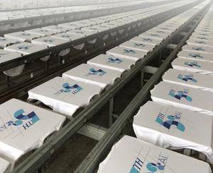 T-shirts unisexe surdimensionnés de haute qualité, vierges, écologiques, à manches courtes, en maille épaisse, personnalisables par sérigraphie ou impression numérique - Product Image 5