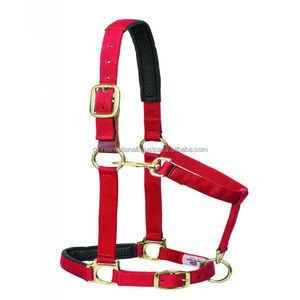 Cabestro ajustable estilo australiano para caballo inglés, rojo, azul, negro, hecho de nailon y PVC con accesorios niquelados. - Product Image 3