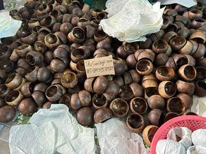 Cuencos de Coco a Precio Económico al por Mayor, Cuenco de Cáscara de Coco con Madreperla, Artesanía Ecológica para Viajes, Tamaño Personalizado Aceptado - Product Image 2