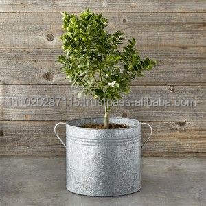 Charming <b>galvanized</b> flower <b>bucket</b> with artistic outhouse print for use in cottage garden setups and patio displays - Product Image 6