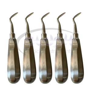 Set of 10 Manual Dental Root Elevators Surgical Instruments for Atraumatic Tooth Extraction Stainless Steel By <b>Blush</b> Surgical - Product Image 5
