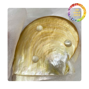 Plato de Nácar Premium Pulido para Decoración del Hogar y Regalo - Product Image 2