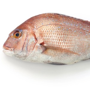 Produits de la mer naturels, poisson entier surgelé IQF, emballé en carton pour importateurs, grossistes et fournisseurs - Product Image 1