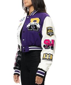 Unisex Purple Varsity Jackets Embroidered Stripe Dyed College Regular Winter Breathable Windproof Street Wear Plus Size Fabric - Product Image 3