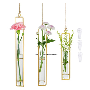 Stylish Black Iron and Glass Metal Black Finished Terrarium Fancy Modern Hot Selling Highest Quality Glass & Crystal <b>Vases</b> - Product Image 5