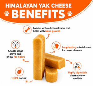 Masticables Orgánicos de Yak del Himalaya para Perros, Hechos a Mano, Naturales, Secos, con Alto Contenido de Proteínas, Sin Granos, Snacks Saludables para las Articulaciones y el Cuidado Dental, Tamaño Personalizado - Product Image 3