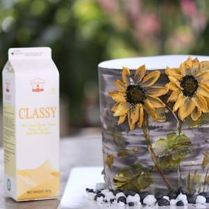 Crème Non Laitière Personnalisée pour Marque Blanche, Crème de Finition Non Laitière HALAL de Qualité Boulangerie Classy Whip 907G, Fournisseur Exportateur - Product Image 2