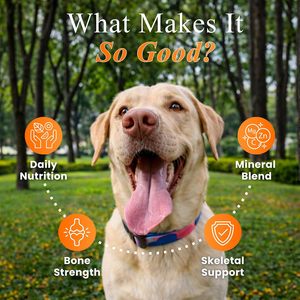 Comprimés à croquer multivitaminés pour chiens et chats, 22 nutriments, pour la peau, le pelage, la digestion, l'immunité, le soutien des os et des articulations, toutes races, tous âges - Product Image 6