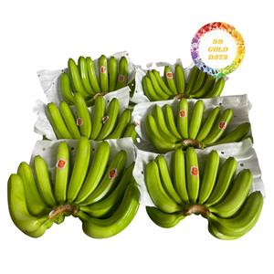 VIETNAM Premium Cavendish Banana-Grade a 2 Month <b>Shelf</b> Life 10kg-Fresh Wholesale Export for Global Markets - Product Image 3