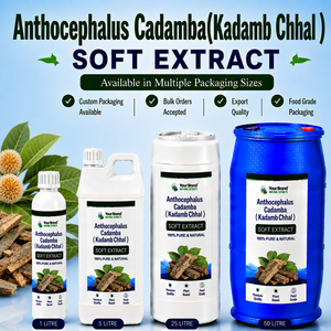 Extracto Suave de Anthocephalus Cadamba (Kadamb Chhal), Suplemento Herbal de Grado Alimenticio a Base de Plantas, Suministro a Granel - Product Image 1
