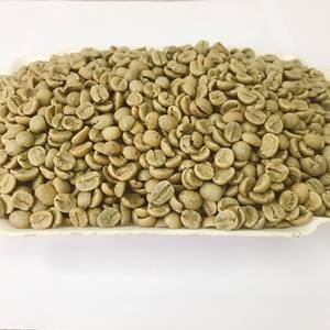Vietnamese Arabica Catimor Grade 3 Green <b>Coffee</b> <b>Beans</b> Fully Washed Certified & Wholesale Traceable - Product Image 5