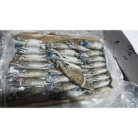 Meilleur Stock Crabe Bleu de Mer Congelé de Qualité Supérieure Vente en Gros Prêt à Expédier Qualité Alimentaire Approvisionnement Export