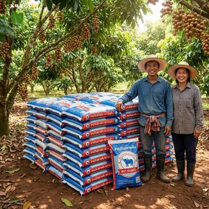 Conditionneur de sol Duangkaew, de haute qualité, naturel et organique, améliore la structure du sol, sa fertilité, son pH acide, respectueux de l'environnement, prêt à l'emploi - Product Image 5