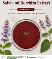 HGO Factory Direct Supply Pure Natural Salvia miltiorrhiza Extract (Health Food Grade) Spécification Tanshinone IIA 0.3% - 50%