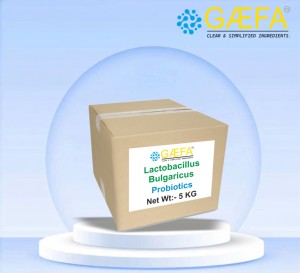 Poudre de probiotiques Lactobacillus Bulgaricus, culture de démarrage en vrac pour yaourts et produits laitiers - Product Image 2