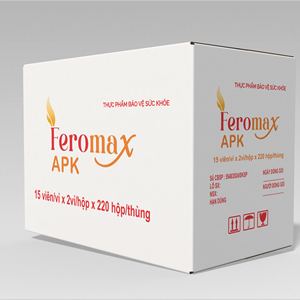 Boîte en carton ondulé personnalisée pour l'emballage d'exportation pharmaceutique, fabricant de boîtes d'expédition de médicaments, fournisseur Vietnamien, OEM - Product Image 1