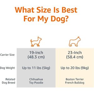 Trasportino Robusto Portatile a 2 Porte Rigido per Animali Domestici con Apertura Superiore, Ventilazione Sicura, Maniglia e Ingresso Frontale Superiore per Cani e Gatti - Product Image 2