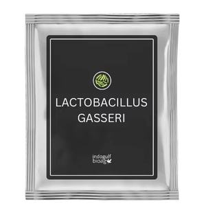 Probiotiques Lactobacillus Gasseri en poudre blanche de la marque IGC, 5 à 100 milliards d'UFC/g, origine Maharashtra - Product Image 1