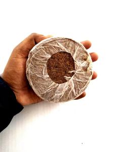 Discos/Perlas/Plugues de Fibra de Coco Comprimida Jiffy para Plántulas de Interior | Medio de Cultivo para Plantas, Hierbas y Vegetales de Exterior - Exportador INDIA - Product Image 2