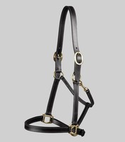 Harnais de cheval en cuir haut de gamme, modèle DI'LH'020, fabricant OEM d'Uttar Pradesh, Inde, Divine International