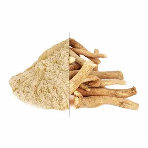 Polvo de Raíz de Ashwagandha de Alta Calidad al por Mayor OEM, Polvo Herbal Molido Fino, Suministro a Granel para Uso Nutracéutico y Ayurvédico - Product Image 3
