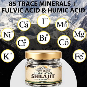 100% Natural Shilajit Resin 30g Pure Uttar Pradesh Source Ingredient Wellness Shilajit Resin Bulk Supply India Wild Cultivation - Product Image 3