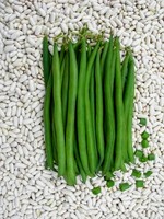 Kacang Polong Perancis Moon Star KOMAL Seeds-99% Alami 85% Daya Tumbuh 2 Tahun Umur Simpan 1% Bahan Inert Asal Pakistan Hijau Tua