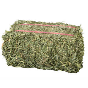 Achetez de l'herbe de timothée de haute qualité pour animaux, herbe de timothée premium avec des feuilles vertes fraîches et prix de gros. - Product Image 5