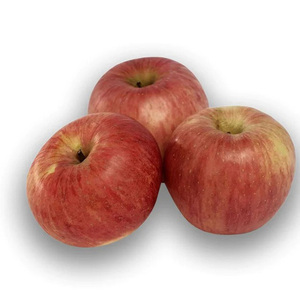 Manzanas Fuji frescas y deliciosas, recién cosechadas de huertos, para exportación a bajo precio - Product Image 3