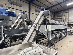 Máquina Clasificadora de Nueces de Anacardo Crudas de Acero Inoxidable de Gran Capacidad, la Más Vendida, Fabricada en Vietnam, Máquina Procesadora de Anacardos de Primera Calidad - Product Image 6