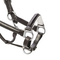 Fabricant professionnel d'équipements équestres de haute qualité, rênes et bridons réglables pour l'équitation