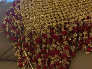 Chadar de entrada de alta costura con flores de Gota para novia, en tendencia |   Toldo nupcial con borlas laterales para bodas indias |   Entrada de Haldi Mehndi - Product Image 2