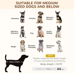 Cuccia Moderna per Animali Domestici da Interno, Imbottitura Invernale in Cotone Rimovibile, Lavabile, Design a Tinta Unita, Stile Semplice e alla Moda, Letto Caldo per Cani - Product Image 4