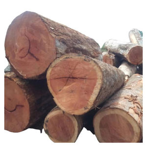 Troncos de madera dura de roble, madera natural redonda para fabricación de muebles, carpintería y material de construcción al por mayor - Product Image 3