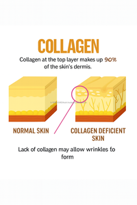 <b>Collagen</b> Tripeptide Powder 300g Korean OEM Private Label Service - Product Image 3