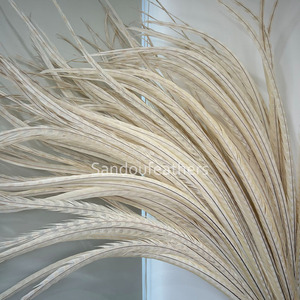 Plumas de Faisán Reeves Blancas de 140 cm de Largo al por Mayor para Disfraces de Samba, Decoración de Carnaval, Espectáculos y Tocados - Product Image 1