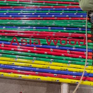 Manche de vadrouille en bois d'eucalyptus vietnamien avec tête en PVC 2 en 1 pelle à poussière de nettoyage domestique portable durable et écologique incluse - Product Image 2