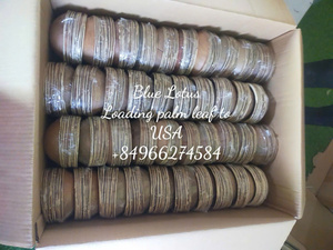 Assiettes en feuilles de palmier très demandées pour les buffets, les événements, les fêtes et les restaurants au Vietnam - Product Image 2