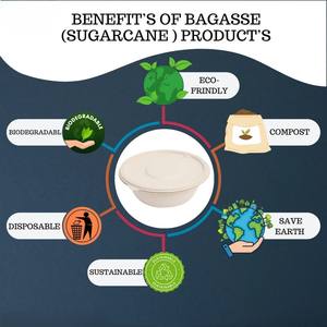 Tazón de Papel de Bambú Biodegradable Personalizado, Tazón de Bagazo de Caña de Azúcar para Catering, Compostable, Desechable, No Tóxico, Listo para Usar, CRADLE - Product Image 3