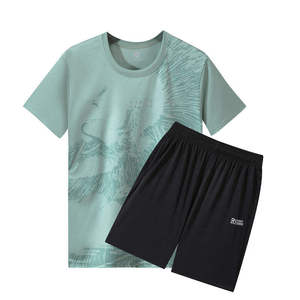 Ensemble de sport pour homme, coupe-vent, uni, à séchage rapide, t-shirt imprimé à manches courtes, vêtements de sport pour la course à pied, le basketball, le badminton - Product Image 2