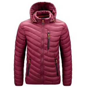 Veste matelassée à capuche pour homme, fermeture éclair, coupe-vent, vêtements d'hiver, couleur unie, coupe décontractée, coque en polyester, longueur normale - Product Image 2