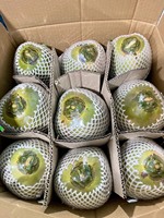 Verse jonge kokosnoot uit Vietnam, gemaakt van natuurlijk kokosnootschelpmateriaal, ideaal voor horeca en drankverwerking.