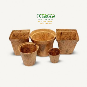 Macetas de Fibra de Coco Natural Pura - Macetas Compostables para Viveros Comerciales de Eco2go Vietnam - Product Image 1
