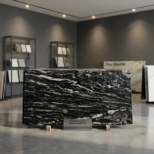 Grande dalle de granit noir avec veines blanches, pierre polie pour comptoirs de cuisine, panneaux muraux, villas modernes et projets de luxe - Product Image 1