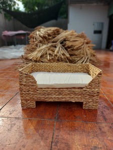 เป็นบ้านสัตว์เลี้ยงผักตบชวาโบราณที่เป็นที่รู้จักกันมากที่สุด, ฟาร์มบัวสีน้ําเงินคาดว่าจะครองตลาดขายส่งของเวียดนาม - Product Image 6