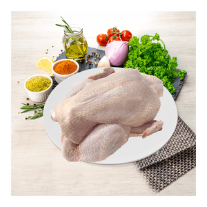 Pollo Entero Congelado Halal, Calidad Premium, Proveedor de Exportación al por Mayor - Product Image 5