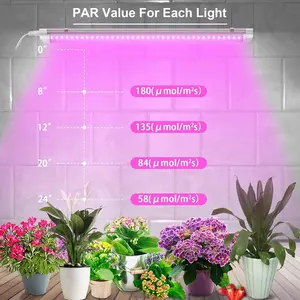 JESLED rosa kundenspezifisches vollspektrum vernetziges design pflanzenlichter T8 anbaulampen LED-Anbau-Lichtstreifen für Indoor-Pflanzen