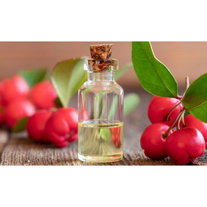 Aceite Esencial de Wintergreen 100% Puro, Natural y Orgánico, Venta al Por Mayor para Aromaterapia - Product Image 1
