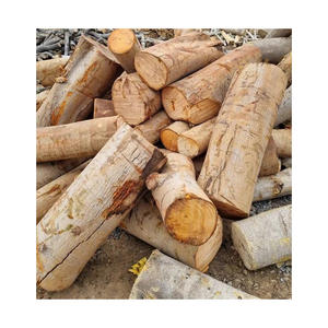 Troncos de Madera Blanda de Alta Calidad, Vigas Redondas Duraderas, Madera Redonda Perfecta para Construcción, Carpintería e Industria - Product Image 6