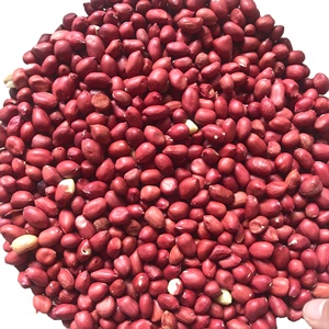 Đậu phộng Redskin Việt Nam ms. Laura - Product Image 1